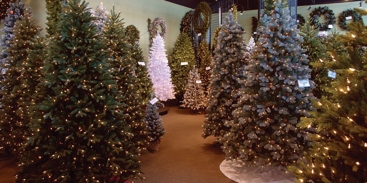 Photograph of National Tree Company Christmas trees.