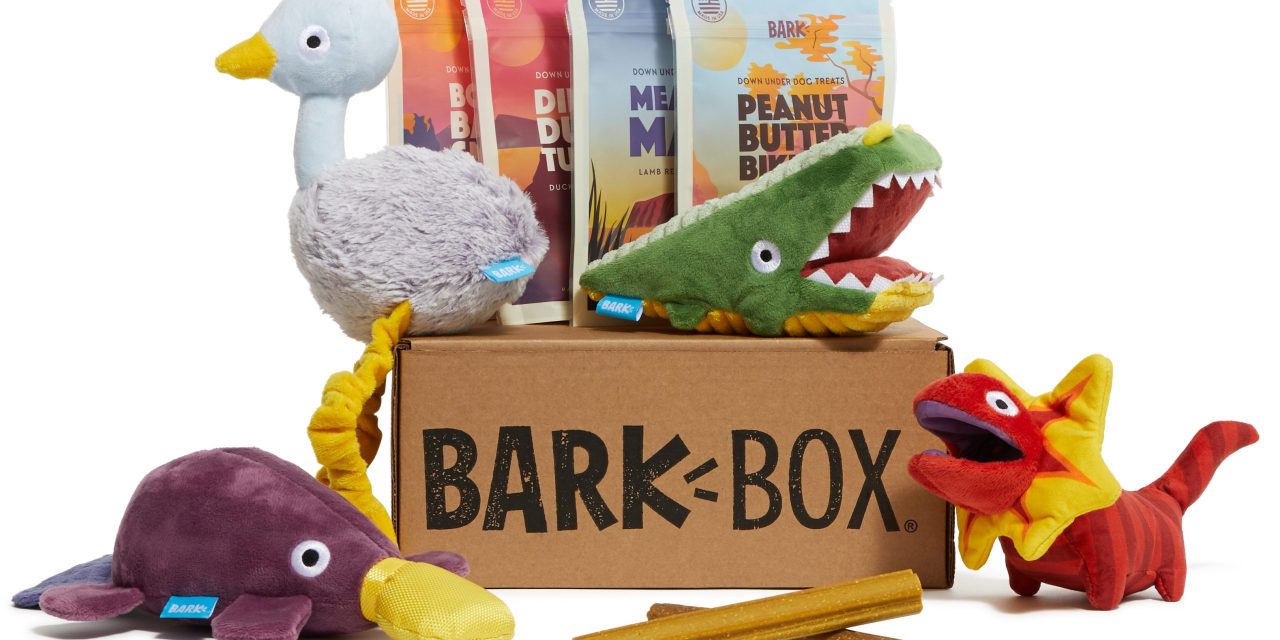 Toys and dog treats Bark Box developed exclusively for REI