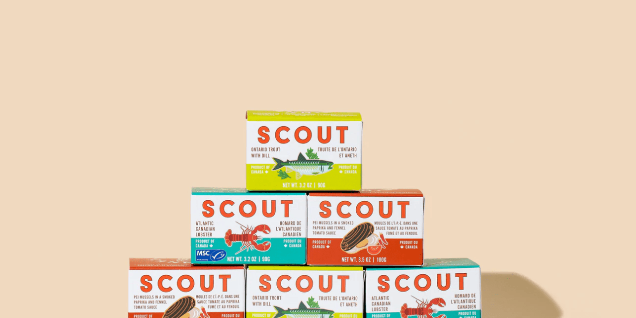 Scout's products stacked