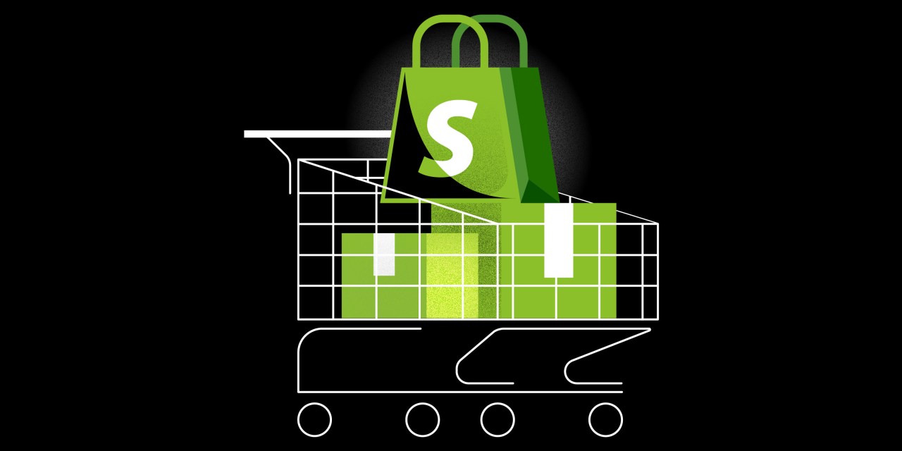 Shopping cart filled with Shopify-adorned bags